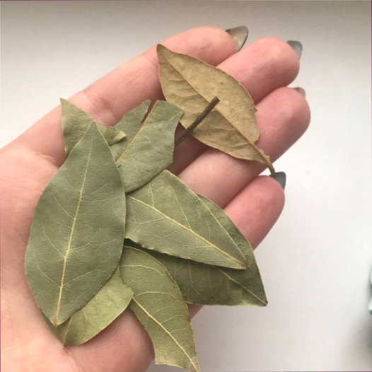 Gecə Prostat Dəstəyi